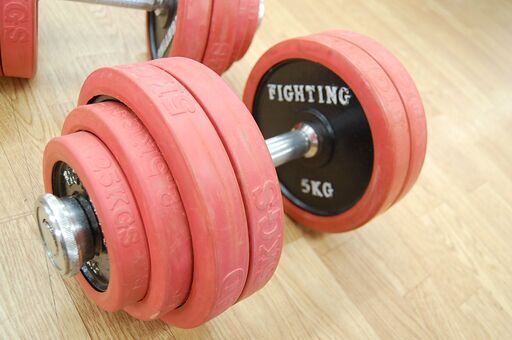 ファイティングロード ダンベル 2個セット 合計60kg ラバー 30kg×2個