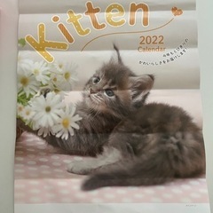 【ネット決済】2022年 猫カレンダー