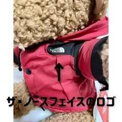 激レア ザ・ノース・フェイス テディベア タグ付