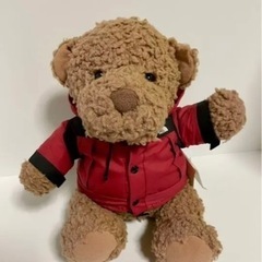 激レア ザ・ノース・フェイス テディベア タグ付