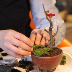 現代インテリアにあうモダン盆栽 ～お手入れ教室～ 2022年2月 − 東京都