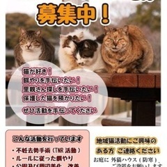 昭島市　猫ボランティア