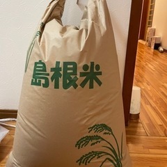 【ネット決済】（お話し中）玄米 コシヒカリ 30キロ