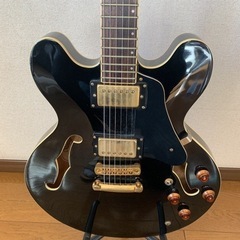 バンテージ V635VG セミアコ