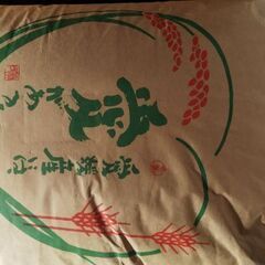 【ネット決済】自家用令和2年無農薬栽培玄米