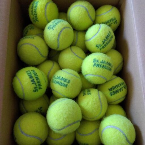 テニスボール セントジェームスプレミアム 70球 もも 向洋のテニスの中古あげます 譲ります ジモティーで不用品の処分