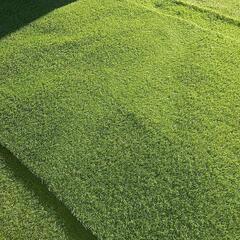 アイリスオーヤマ 防草人工芝 4.4×1.3mくらい