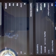 中古 iPad Pro 11インチ 第3世代 512GB スペースグレイ au