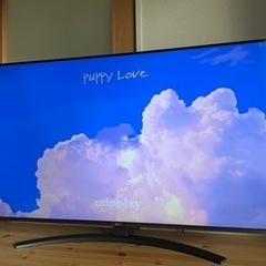 LGテレビ 55インチ(引き取りの場合は値下げ可)