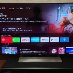 SONY BRAVIA 49インチ液晶テレビ KJ-49X900...