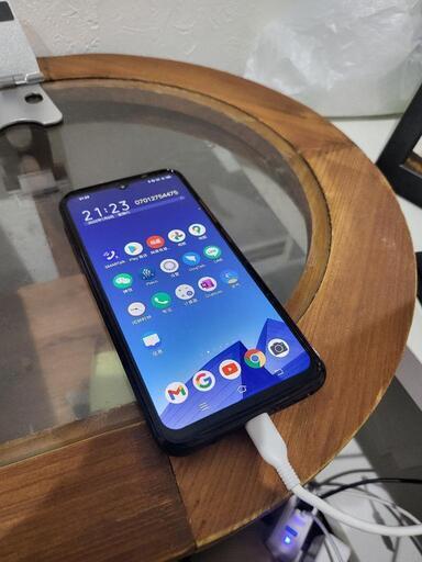（値下げしました！）vivo 1920（美品、カバー付）