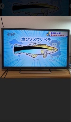 シャープ　AQUOS 50インチ　薄型テレビ　LC50W20 2014年