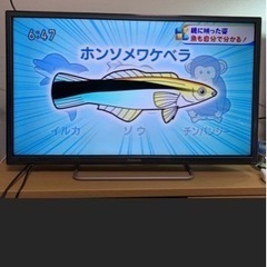 シャープ　AQUOS 50インチ　薄型テレビ　LC50W20 2...