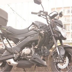 【ネット決済】Z125 pro 軽カスタム           ...