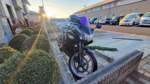 MC41前期、CBR250R