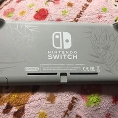 ［動作確認済み・本体のみ・収納ケース・保護ケース付き・画面保護貼り付け済み］Switch light ザシアンザマゼンタ 動作確認済み・本体のみ・収納ケース・保護ケース付き・画面保護貼り
