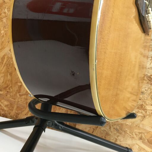 Pro Martin プロマーティン アコースティックギター 12弦 D-170