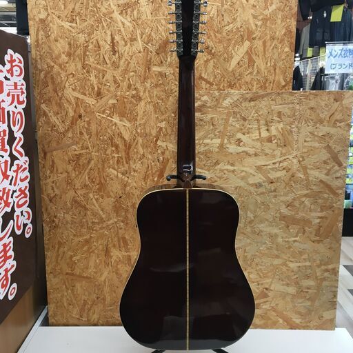 Pro Martin プロマーティン アコースティックギター 12弦 D-170