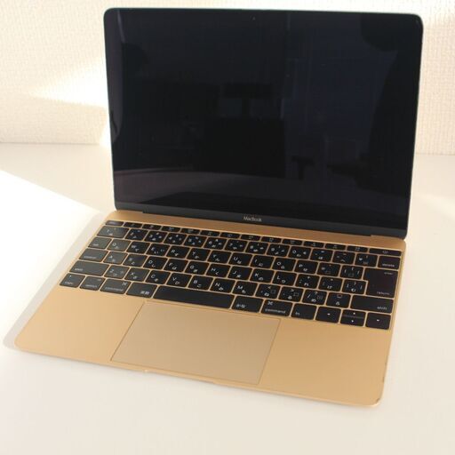 T281) Apple Macbook A1534 12インチ Retina 2015 1.1GHz Intel Core M RAM8M DDR3 SSD256GB アップル ノート マック 高速 パソコン