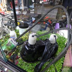 グラステラリウム 6060 爬虫類 飼育箱 ケージ ガラスケージ【モノ市場