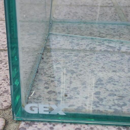 Gex 横長 ガラス水槽 メダカ 中古 Kiki 船堀のその他の中古あげます 譲ります ジモティーで不用品の処分