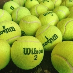 テニスボール（Wilson）30個　
