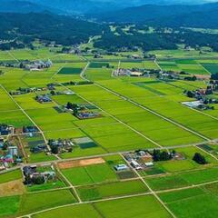 田舎体験しませんか🙆 - さいたま市