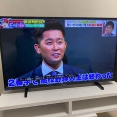 東芝 TOSHIBA 19P2 ハイビジョン 液晶テレビ 19インチ REGZA