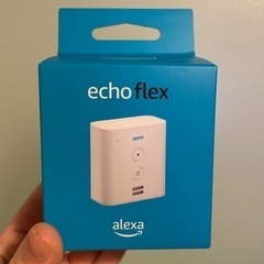 【ネット決済・配送可】echo flex alexa 