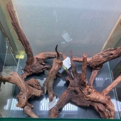 【水槽関連】流木 