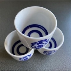 NMB48 門脇佳奈子 かなきち ビッグフィッシング 釣り おちょこ 日本酒