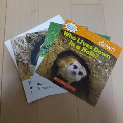 英語の本やフラッシュカードいろいろ