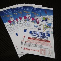 【ネット決済・配送可】札幌国際スキー場割引券(2枚)