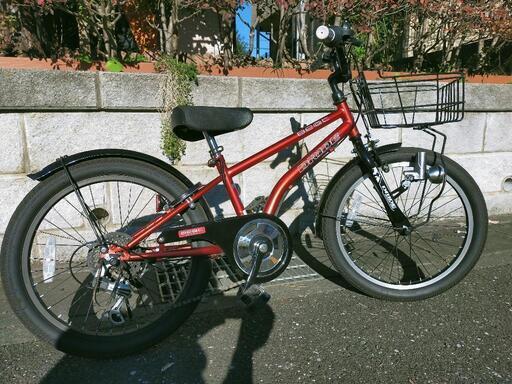 DRIDE beat 20インチ　子供用　自転車