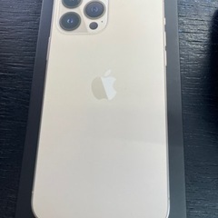 新品 SIMフリー iPhone13 pro max 256gb ゴールド 2022/01/10