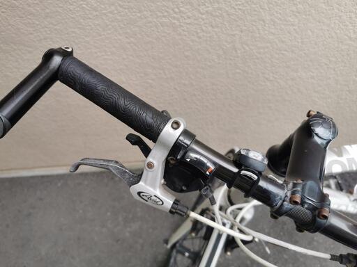 Bianchi ROMA2 クロスバイク シルバー【引渡し】 Bianchi roma2 Bianchi ROMA2 クロスバイク シルバー【引渡し