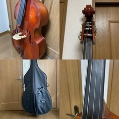 Strunal ストルーナル　ウッドベース　コントラバス　ソフトカバー付　米国輸入品