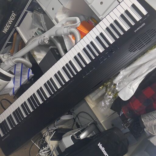 最終値下げ】 ROLAND GO-88 GO:PIANO88 Entry Keyboard Piano