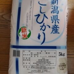 【新米】新潟県産こしひかり 5Kg × 2袋