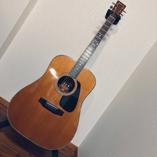 弦楽器、ギター Morris MD-515