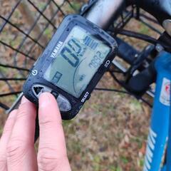 （要整備）　YAMAHA PAS BRACE XL　