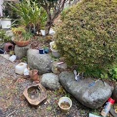 庭石、植木鉢、庭木