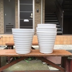 陶器鉢100鉢、（完売御礼）8～10号、先着順となります。