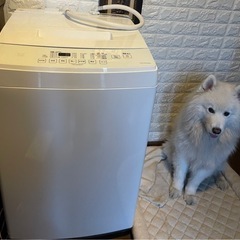 【ネット決済】2020年製全自動洗濯機　