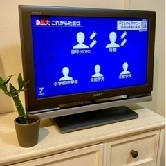 <無料> SONY 20インチテレビ