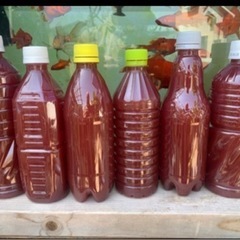 Psb エビオス錠付 1リットル たくさんあります 週末めだか つつじヶ丘のその他の中古あげます 譲ります ジモティーで不用品の処分