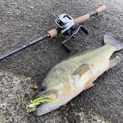 栃木、茨城でバス釣り！