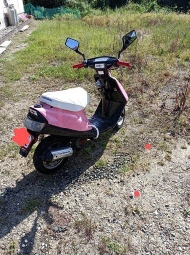ジョグ実働車