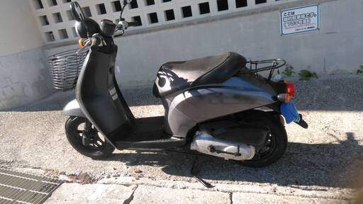 ホンダトゥデイ　af6１ 　　✨売ります　３万５千円　抹消