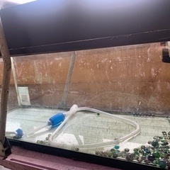 【ネット決済】熱帯魚水槽　1,200cm